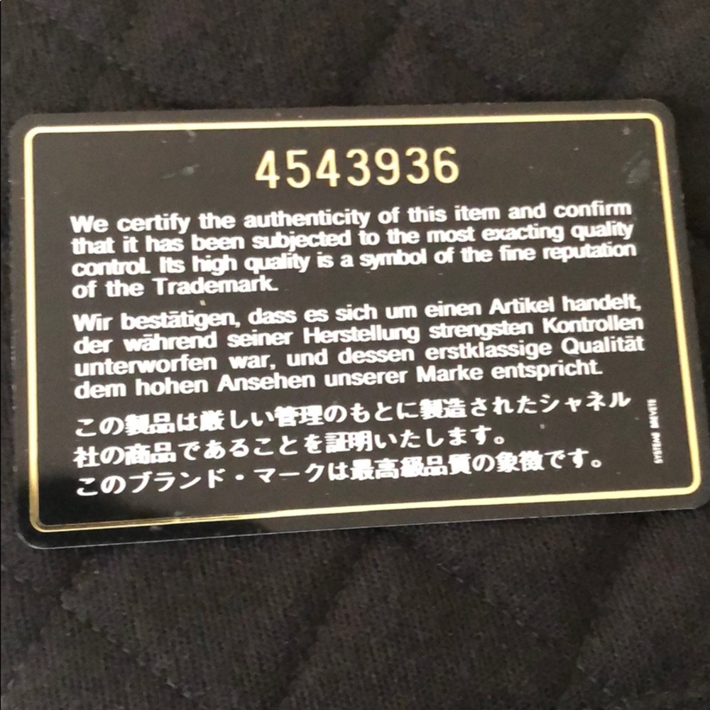 Chanel Backpack - image 4